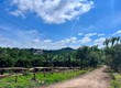 Bán Đất Nam Hà 1.000m  Hai Mặt Tiền   Có Sẵn Cà Phê Thu Hoạch, Không...
