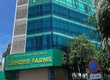 Cho thuê văn phòng Trung Tâm Quận 5 