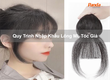 Quy Trình Nhập Khẩu Lông Mi, Tóc Giả 