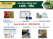 Phần mềm thu mua cà phê   tiêu TTV 