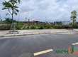 Bán cặp song sinh đấu giá đẹp long lanh tại TDP Bái Trong, phường Thuỷ Nguyên, TP Hải...