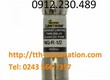 Cầu chì bussmann fnq r 1/2 made in mexico 