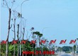 Cột đèn cao áp liền cần Phan Nguyễn sản xuất chất lượng, giá tốt 