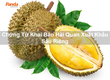 Chứng Từ Khai Báo Hải Quan Xuất Khẩu Sầu Riêng 
