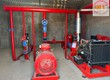 Cho thuê nhà xưởng mới xây DẦU TIẾNG, BÌNH DƯƠNG   2.300m 