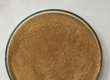 BACILLUS CLAUSII toàn diện các vấn đề về tiêu hóa 