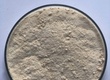 Enzyme đơn dòng Amylase phân giải tinh bột 