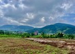 Bán Đất Ven Đà Lạt 466m  Thổ Cư 100m    View Thoáng, Thế Đất Đẹp,...