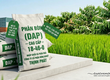 Thủ Tục Xuất Khẩu Phân bón DAP  Diammonium Phosphate 