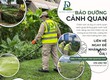 Công ty cây xanh Đồng Nai   Cảnh quan Đại Phát 