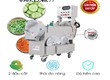 Máy cắt rau lá dạng băng tải, máy cắt củ quả đa năng, máy cắt lá máy cắt...