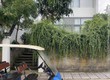 Chỉ từ 3,65 tỷ sở hữu biệt thự nghỉ dưỡng hoàn thiện tại Bảo Lộc, sổ hồng riêng,...