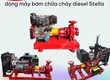 Có nên dùng máy bơm dầu Diesel Stella không  Đánh giá chi tiết 