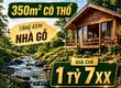 CẮT LỖ   CHỈ DUY NHẤT 1 LÔ VIEW Suối đẹp tại Phường 2 BẢo lộc ...
