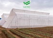 Lưới chắn côn trùng HDPE giá tốt 