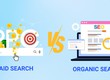 Organic Search Là Gì  Hướng Dẫn Tối Ưu Cho Người Mới Bắt Đầu 