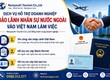 Tư vấn doanh nghiệp bảo lãnh nhân sự nước ngoài đúng quy định pháp luật 