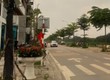 Chính chủ cần bán gấp đất mặt đường khu đấu giá Tam Hiệp, Thanh Trì, Hà Nội 