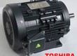 Động cơ điện Toshiba 