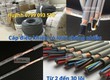 Bảng giá cáp điều khiển altek kabel 10 lõi 