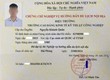 Chứng chỉ HDV Điều hành Tour 