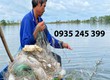 Lưới giăng cá và giăng rắn 