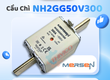 Cầu chì Mersen NH2GG50V300 