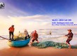 Gia công lưới kéo cá lưới quét cá 