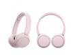 Tai nghe Sony WH CH520 