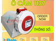 Ổ cắm Bals 1137 IP67 16A 