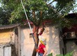 Máy cắt cành trên cao Stihl HT75 