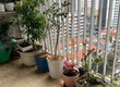 Bán căn hộ chung cư THÔNG TẤN XÃ VIỆT NAM   ĐỊNH CÔNG, Hà Nội 