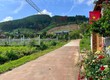 Cần Bán Đất Khu Nghỉ Dưỡng Gia Lâm 501m , Địa Thế Đẹp, Thông Xanh Bao Quanh 