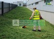 Dịch vụ Cắt cỏ, Cắt tỉa và Chăm sóc cây xanh nhà xưởng KCN Bình Dương 
