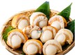 Cách Chế Biến Cồi Sò Điệp Hấp Không Bị Dai 