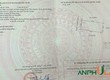 Chỉ với tài chính 1 tỷ, săn ngay lô đất giá rẻ tại Phường Thủy Nguyên, TP Hải...