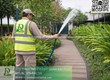 Dịch vụ cưa cây   cắt cỏ Đồng Nai   Cưa hạ cây, cắt cỏ, vệ...