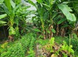 Cần bán 195M đất phố Đại Đồng phân lô ô tô vòng quanh mặt tiền rộng khu vực...