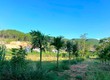 Cần Bán Đất 309m  Có 209m  Thổ Cư, 2 Mặt Tiền Giữa Thung Lũng Thông Xanh...