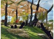 Vải bố trang trí và decor 
