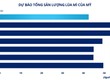 Lúa mì chịu sức ép từ nguồn cung Biển Đen 