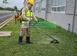 Báo Giá Cắt Cỏ Cưa Cây Nhơn Trạch Đồng Nai   Nhanh Chóng, An Toàn 