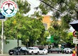Cho thuê xe oto tự lái   có lái giá tốt Đà Nẵng 