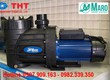 Cách Chọn Máy Bơm Hồ Bơi Phù Hợp Theo Diện Tích và Thể Tích 