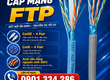 Cáp Mạng Cat5e   Cat6 FTP Altek Kabel 4 Pair Chống Nhiễu 100 Đồng 