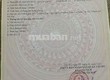 Chính chủ cho thuê nhà nguyên căn mới xây tạiLẠC LONG QUÂN   PHƯỜNG TÂY HỒ 