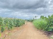 Đất hẻm gần trung tâm tân hội   lâm đồng 