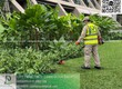 Báo Giá Cắt Cỏ Chăm Sóc Cây Xanh Bình Dương   TP.HCM 