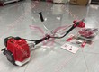 Cắt cỏ 2 thì Kawasaki  TJ53E 