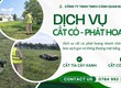 Cắt cỏ Cắt tỉa cây xanh Long Bình Đồng Nai 